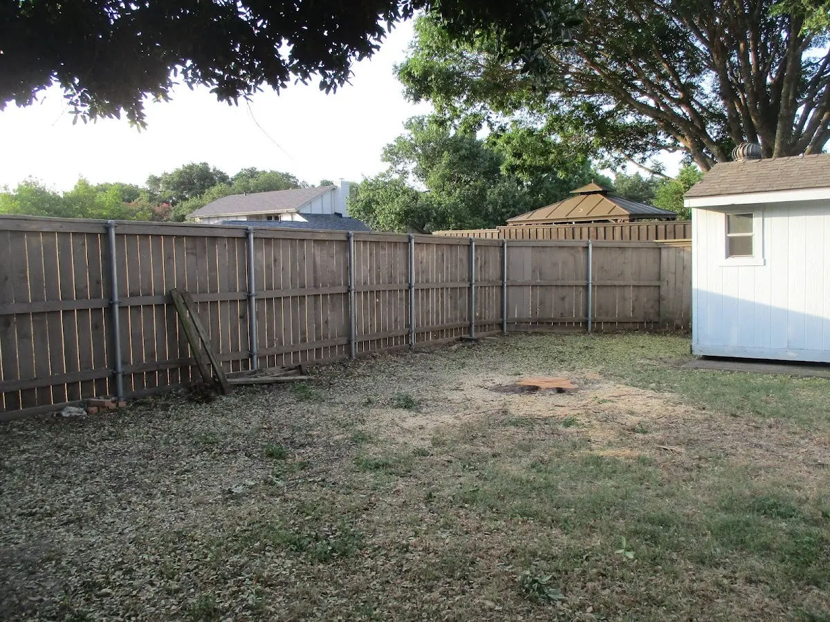 Cleared yard after professional tree removal in East Millsboro