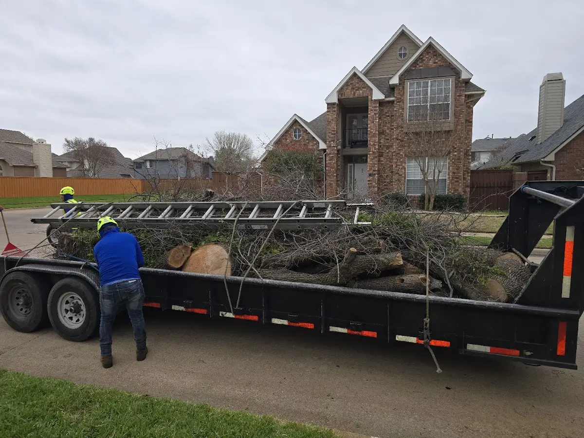 Expert Tree Removal with proper safety equipment in East Millsboro